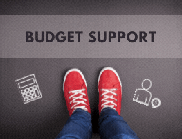 https://www.bbaf.ulaval.ca/en/my-finances/budget-support/