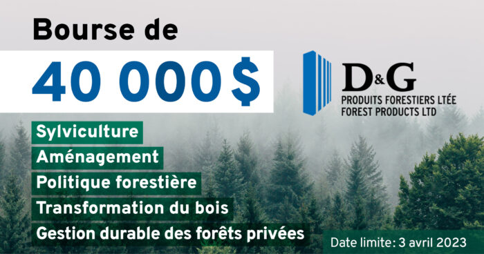 Bourse d’admission de 40 000$ - transformation du bois - aménagement - sylviculture - politique forestière - gestion durable des forêts privées - Date limite 3 avril 2023